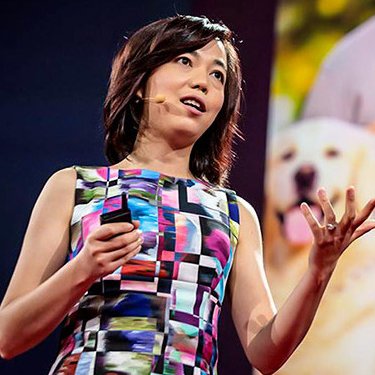 Fei Fei Li for Ai ethics and society 