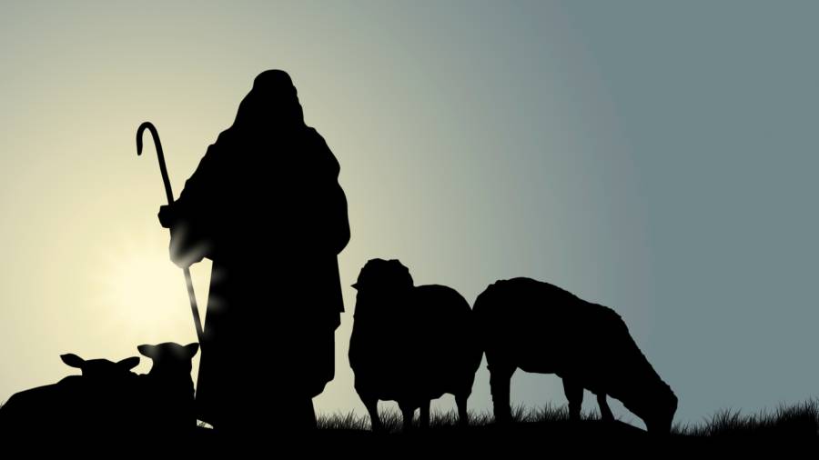 Moses’ years as a shepherd prepared him to lead Israel.